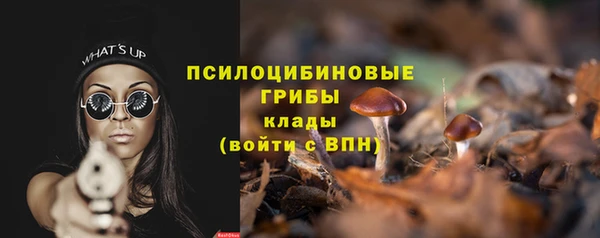альфа пвп Гусь-Хрустальный